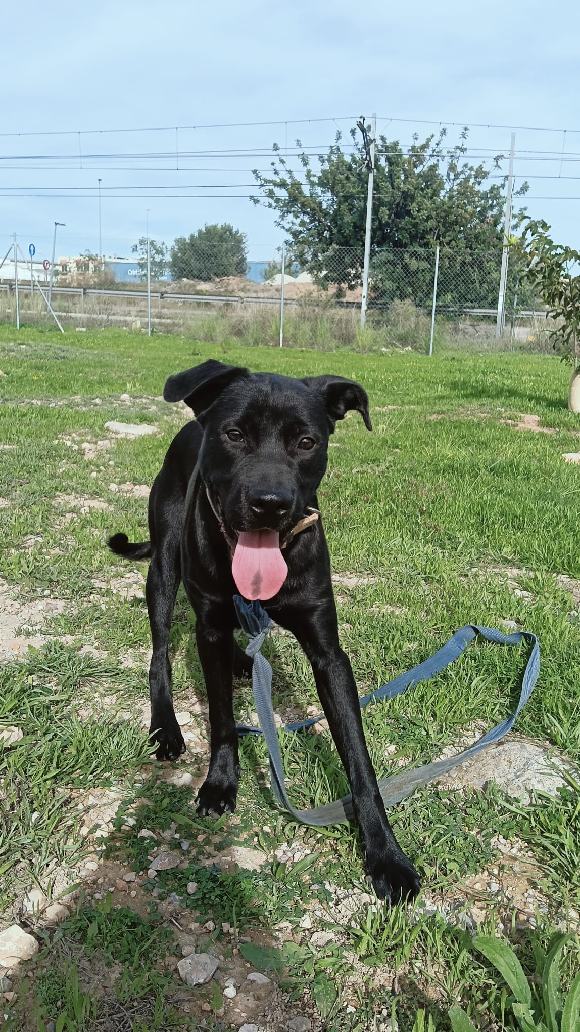 Foto de Túnel